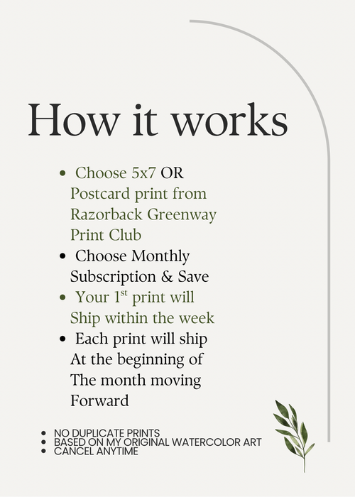 5x7 Razorback Greenway Print Club