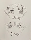 Custom Line Drawing