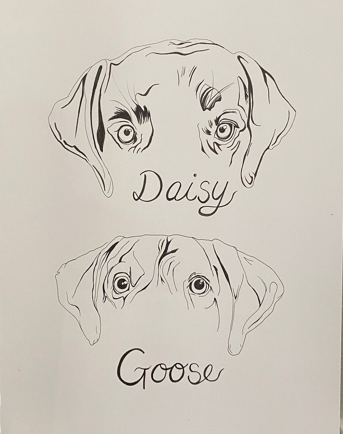 Custom Line Drawing