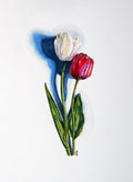 Red and White Tulip - Print